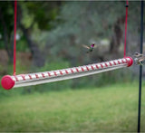 Bebedouro para Pássaros®